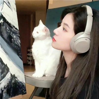 圣诞小屋
